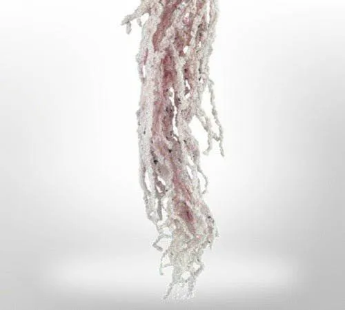 Preserved Amaranthus for Art Sets